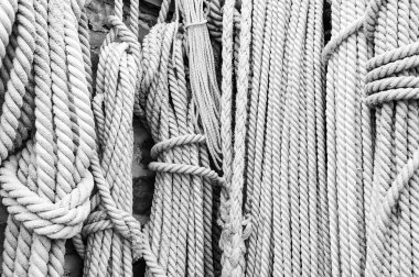 Farklı kalınlıkta ipler duvarda dikey olarak asılı duruyor. Siyah beyaz fotoğraf