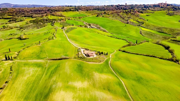 Vista Superior Campos Verdejantes Toscana Colinas Árvores Com Uma Fina — Fotografia de Stock