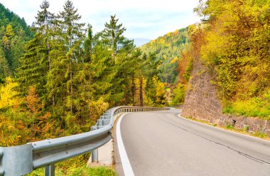 Modern bir asfalt yolu tepelerin arasında köknar ağaçları ve sonbahar ormanlarıyla çevrili.