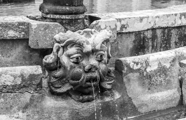 Parte Una Antigua Fuente Piedra Abandonada Forma Cabeza Una Criatura —  Fotos de Stock