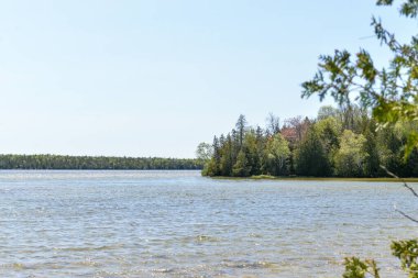 View at forest path walk in Bruce Peninsula national park neat Tobermory village in Ontario province, Canada