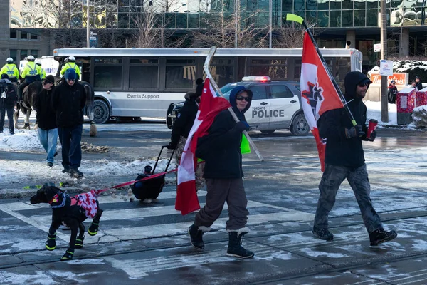 Toronto, ON, Kanada 05 Şubat 2022: Göstericiler, Covid aşısının görev ve kısıtlamalarını protesto etmek için Toronto şehir merkezinde toplandılar.