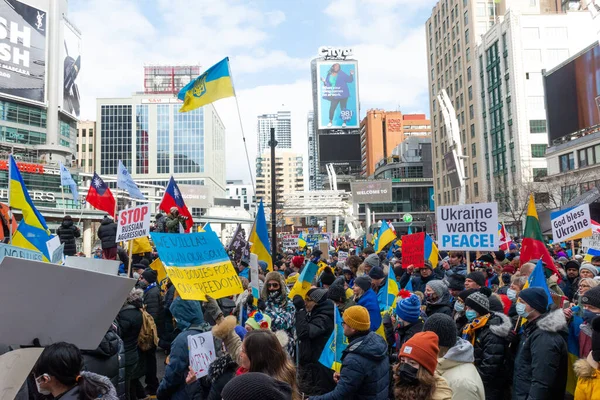 Toronto Ontario Kanada Února 2022 Protestující Prapory Ukrajinskými Vlajkami Náměstí — Stock fotografie