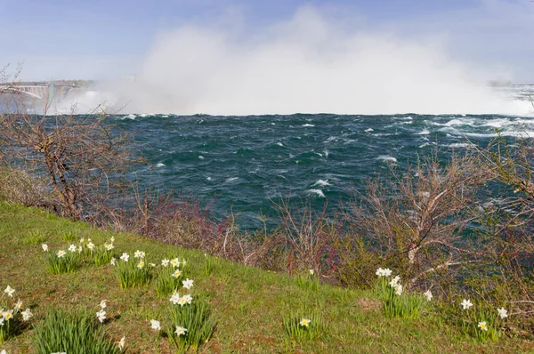 Vue Des Chutes Niagara Des Fleurs Côté Canadien Printemps — Photo