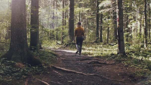 Dívka Kráčející Pěšině Hustém Lese Kráčeli Mezi Divokou Zvěří Míjeli — Stock video