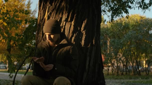 手の手のひらにコインを数える公園の木のそばの貧しい男 乞食はお金のために懇願を得ることができる変更を数える 壊れた人は 貧困の中に 解雇された — ストック動画