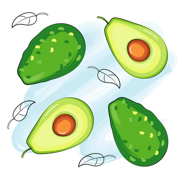 avokado sağlıklı besin düzeni suluboya