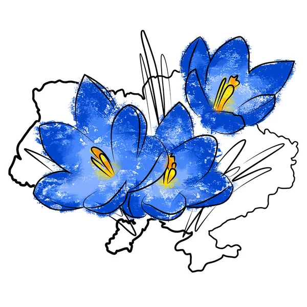 Ukrajinský Symbol Krokus Květiny — Stockový vektor