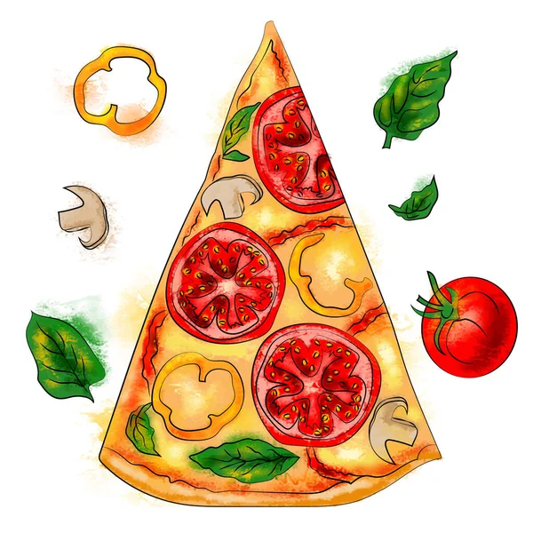 Pizza Tomatoes Basil Boletus Pepper Watercolor Food Order — Stockový vektor