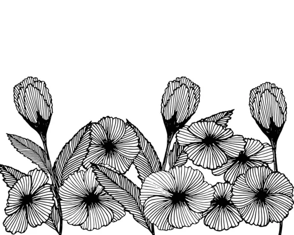 手绘花卉的素描 黑色的轮廓 典雅的设计 招贴画 用于文字 — 图库矢量图片
