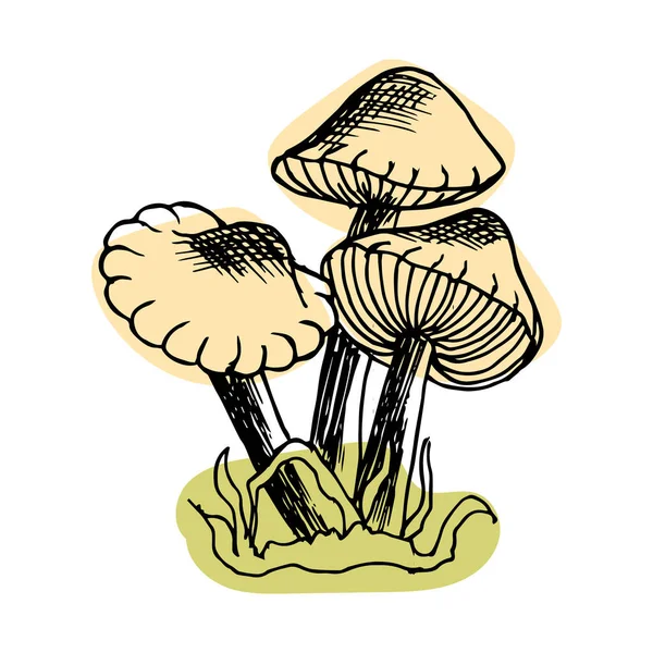 Illustrazione Funghi Disegnati Mano Contorno Nero Macchie Astratte Risorsa Grafica — Vettoriale Stock