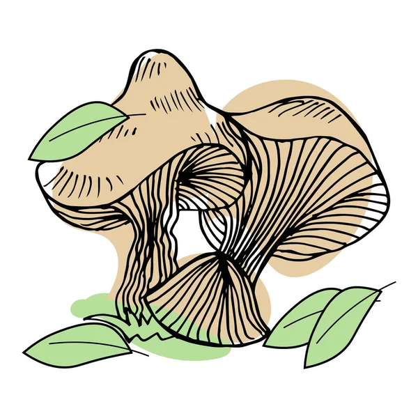 Illust Cogumelos Desenhados Mão Esboço Preto Lugares Abstratos Recurso Gráfico —  Vetores de Stock