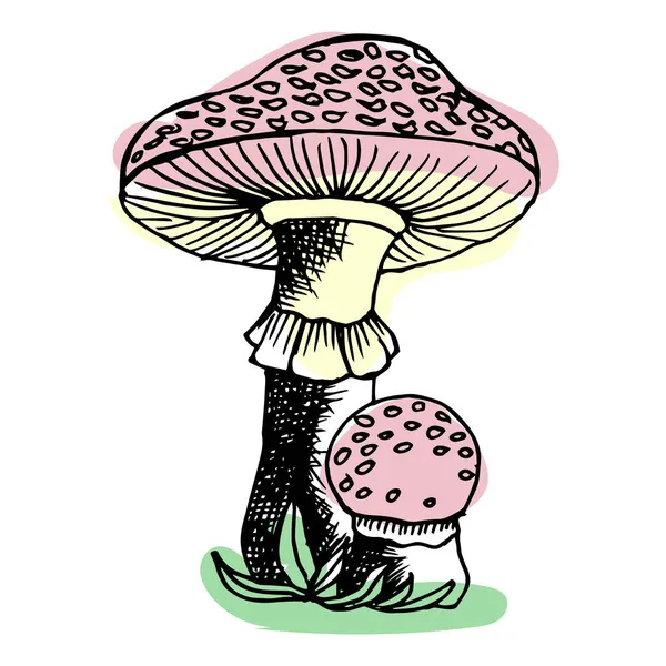Illustrazione Funghi Disegnati Mano Contorno Nero Macchie Astratte Risorsa Grafica — Vettoriale Stock