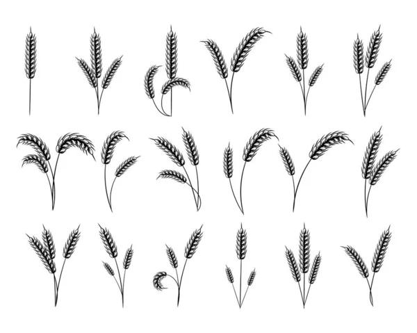 Illust Autocolantes Jogo Ícones Orelhas Trigo Fundo Branco Desenho Para — Vetor de Stock