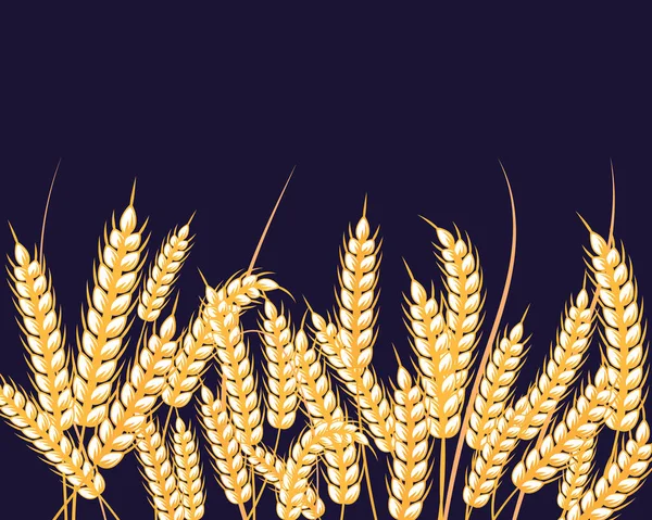 秋のイラスト 青で熟した小麦の耳の背景 デザイン パン屋 はがき ポスター テキストのための — ストックベクタ
