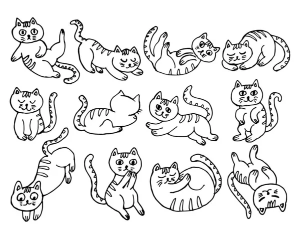 Illustration Children Set Hand Drawn Funny Cats Different Poses Contour — Stock Vector