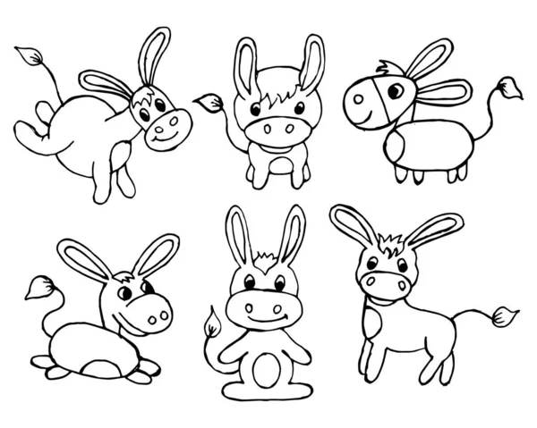 Ilustração Doodle Conjunto Burros Contorno Engraçado Desenhado Mão Para Crianças —  Vetores de Stock