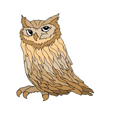 El çizimi illüstrasyon, ağaçta oturan çok renkli gerçekçi baykuş, kartpostal, çizim