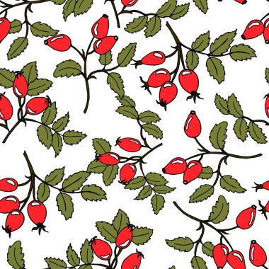 Kusursuz desen, beyaz arka planda yaprakları olan yabani gül dalları, baskı, tekstil, duvar kağıdı.