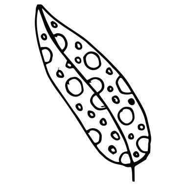 Karalama çizimi, siyah beyaz yaprak, soyutlama, dekorasyon için tasarım, tekstil, kağıt