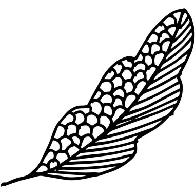 Karalama çizimi, siyah beyaz yaprak, soyutlama, dekorasyon için tasarım, tekstil, kağıt