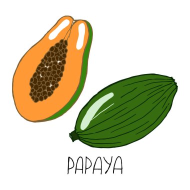 Tropikal meyveler, çizilmiş papaya ve harfler, tekstil, kağıt, duvar kağıdı