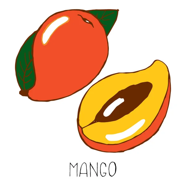Illust Con Frutas Tropicales Mango Dibujado Letras Textiles Papel Fondo — Archivo Imágenes Vectoriales