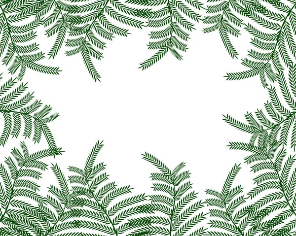 在白色背景上画蕨叶 用于文字 明信片 生态海报 — 图库矢量图片