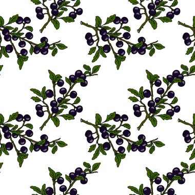 Kusursuz desen, dut ve yapraklı parlak el yapımı siyah diken dalları, tekstil, duvar kağıdı, kağıt.