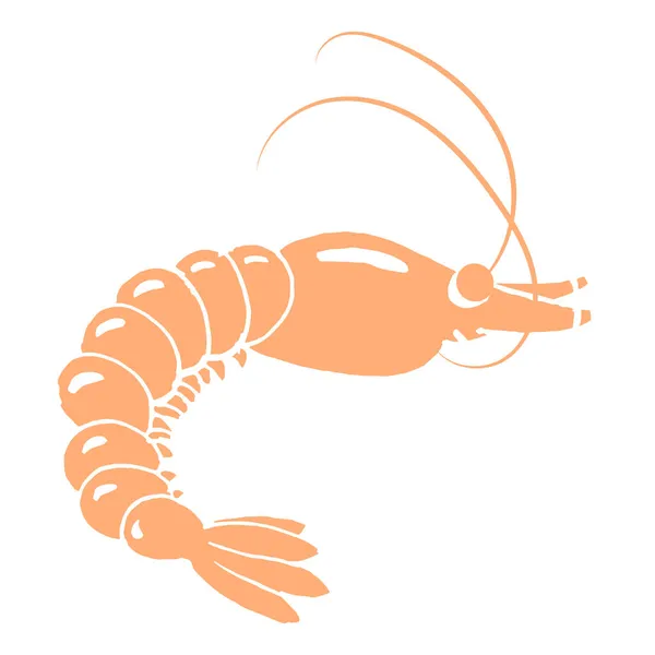 Ilustrace Ručně Kreslené Realistické Krevety Mořské Plody Pro Potravinářský Průmysl — Stockový vektor