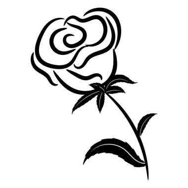 Çizgi sanatı, zarif soyut gül, siyah özet, kartpostal, poster, davetiye için dekor.