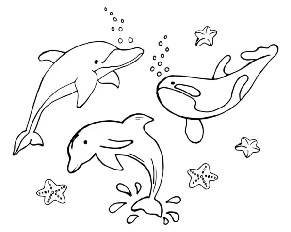Ilustración Boceto Delfines Dibujados Ballenas Asesinas Animales Marinos Para Colorear — Vector de stock
