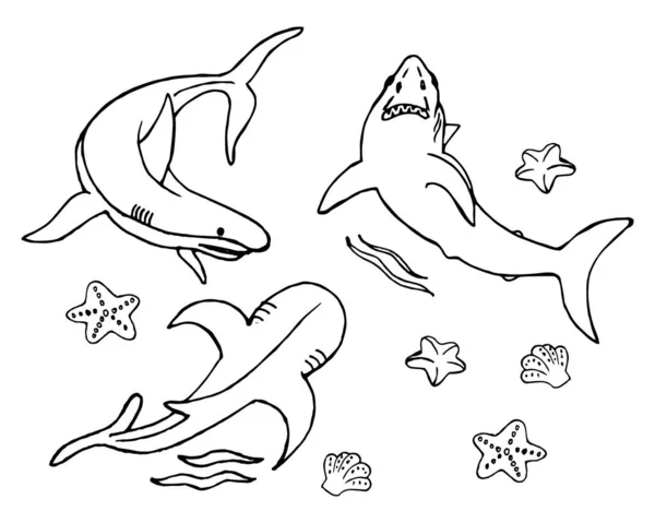 Illustration Sketch Drawn Set Sharks Killer Whales Marine Animals Children — Stock Vector