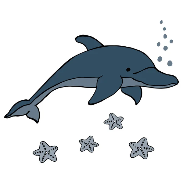 Illustration Clip Art Dolphin Starfishes Sea Creatures Children Postcard Print — Stock Vector