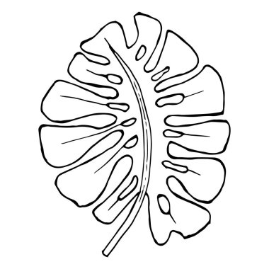 Tropikal palmiye yaprağının el çizimi. Yazdır. Renkler için çizim, siyah özet