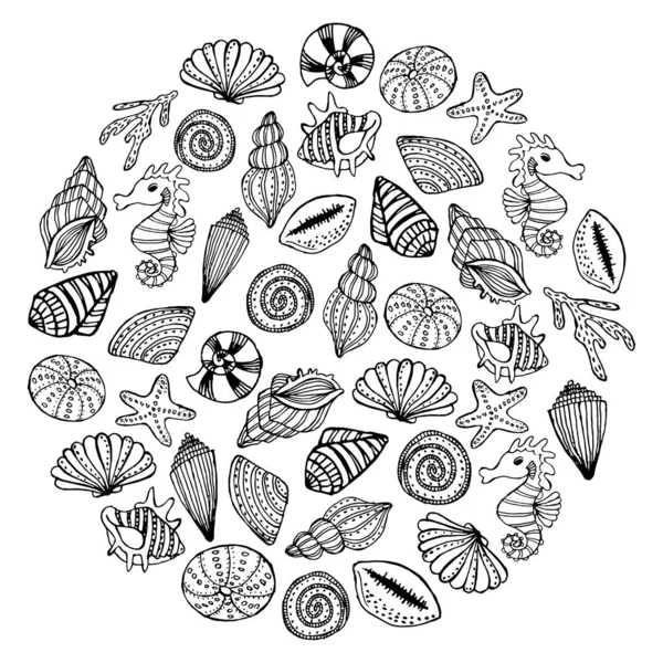 Marine Illustration Set Hand Drawn Contour Seashells Circle Sketch Coloring — Stock Vector