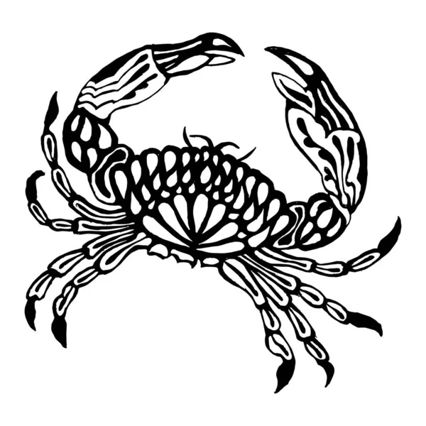 Ilustrasi Kepiting Bergaya Yang Digambar Dalam Pola Sketch Kehidupan Bawah - Stok Vektor