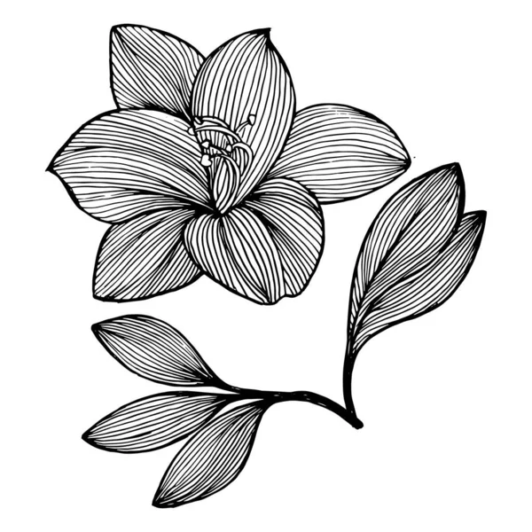 ラインアートの手は葉と黒輪郭蘭の花を描いた スケッチ ポストカード ぬり絵のデザイン — ストックベクタ