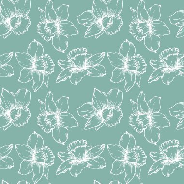 Kusursuz desen, iz, beyaz çizgiler soluk mavi arka planda nergis çiçekleri. Tekstil, duvar kağıdı, kapak, yatak odası dekorasyonu