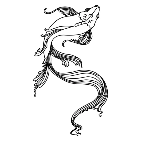 Illustration Sketch Drawn Elegant Contour Fish Black Outline Marine Theme —  Vetores de Stock