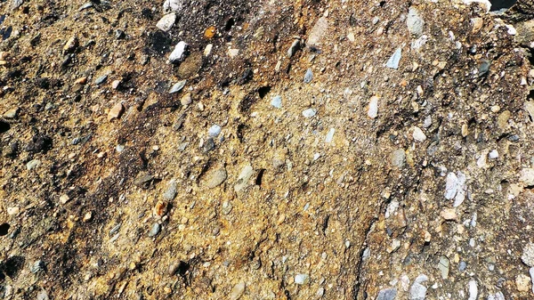 Φυσική Πέτρα Στη Θάλασσα Κοχύλια Φόντο — Φωτογραφία Αρχείου
