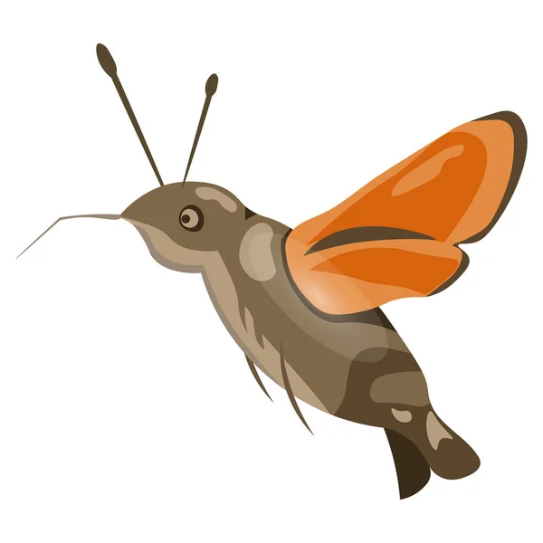 Ilustrace Rozkošný Mnohobarevný Komár Hmyz Grafický Design Pohlednice Tisk Čmáranice — Stockový vektor