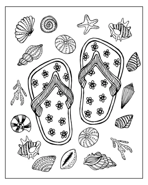 Summer Illustration Flip Flops Background Variety Seashells Sketch Coloring Books — стоковый вектор