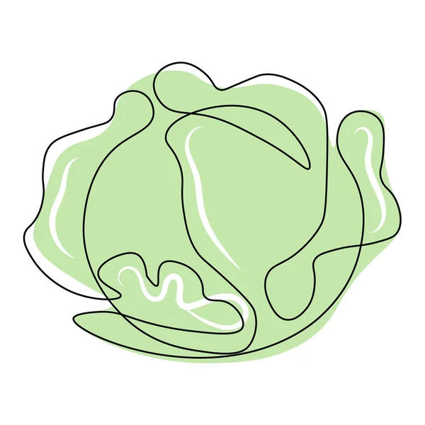 Vegetable Illustration Line Art White Cabbage Black Line Addition Colored — Image vectorielle