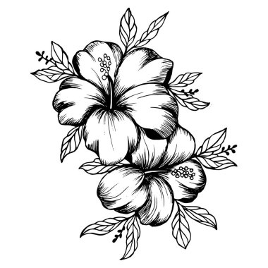 Illustration, line art, hand drawn delicate orchids. Decor for textiles, wallpaper, paper, covers