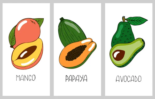 Set Poster Frutta Mango Disegnato Mano Papaia Avocado Intero Mezzo — Vettoriale Stock