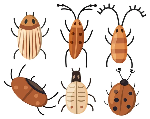 Set Drawn Cute Funny Beetles Beige Brown Colors Stickers Kids — Stock Vector