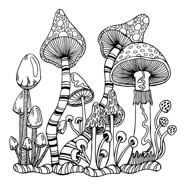 Schizzo Disegnato Contorno Funghi Magici Volare Agarico Feci Rospo Illustrazione — Vettoriale Stock