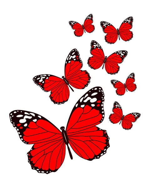 Ilustrace Elegantní Červení Motýli Bílým Černým Vzorem Tisk Plakát Textil — Stockový vektor