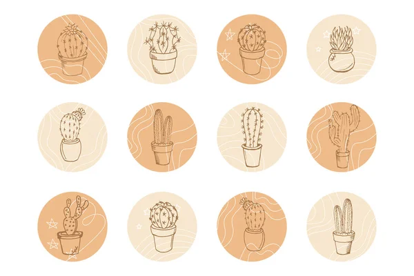 Inicio Plantas Iconos Conjunto Dibujado Cactus Contorno Macetas Ovalos Abstractos — Vector de stock